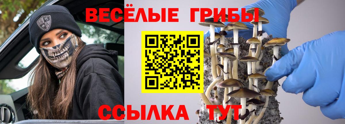 Галлюциногенные грибы мицелий  Вход с VPN  Аша  Галлюциногенные грибы Cubensis 